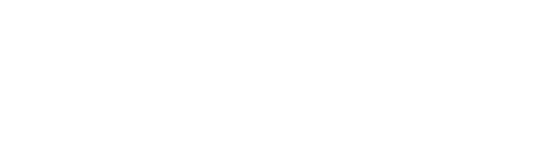 Bruno Monsanto